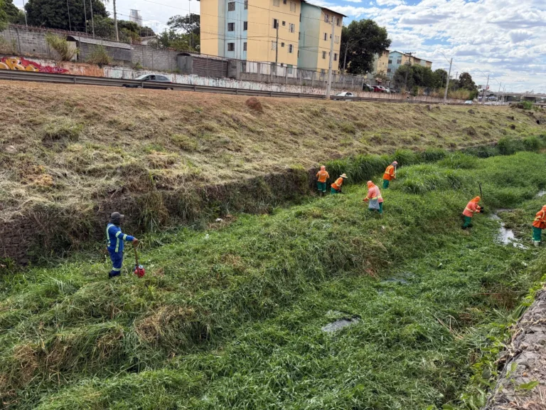 Equipes de urbanização retomam limpeza preventiva na Marginal Botafogo, em