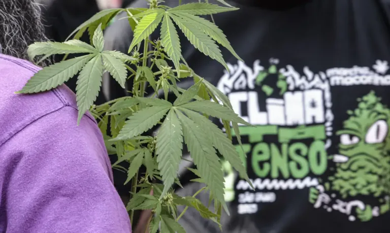 Flagrante por drogas gera mais prisão preventiva do que outros crimes, aponta pesquisa do CNJ