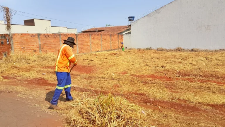 Goiânia limpa 779 lotes e lança custo no imposto dos