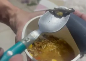 Consumidora encontra lagartixa em macarrão instantâneo e será indenizada em R$ 3 mil