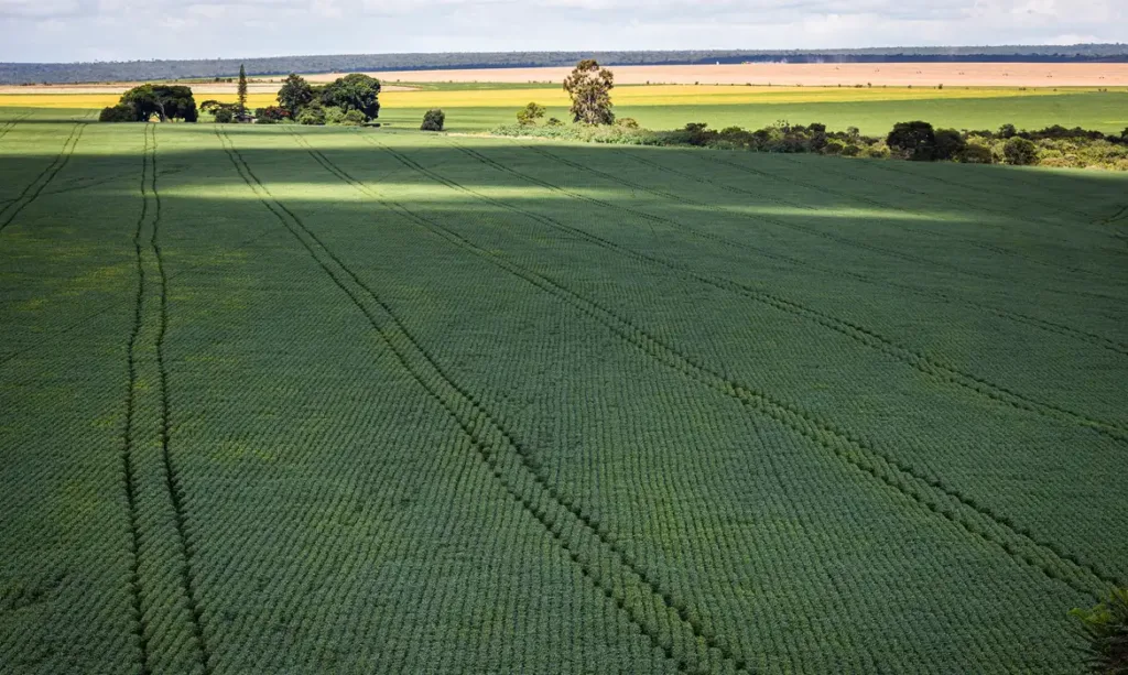 CMN amplia renegociação de dívidas de produtores rurais ligadas a eventos climáticos