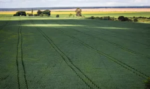 CMN amplia renegociação de dívidas de produtores rurais ligadas a eventos climáticos