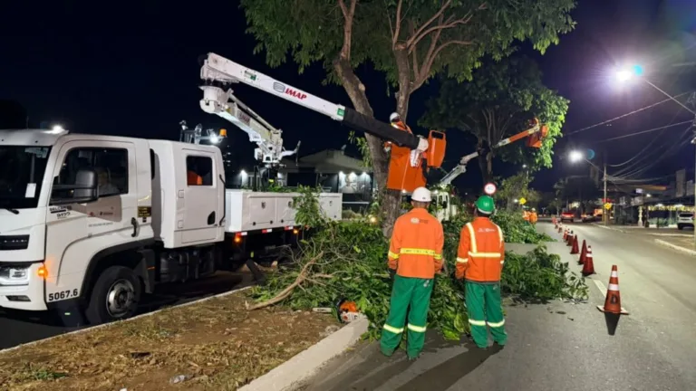 Prefeitura de Goiânia amplia poda de jamelões em avenidas no