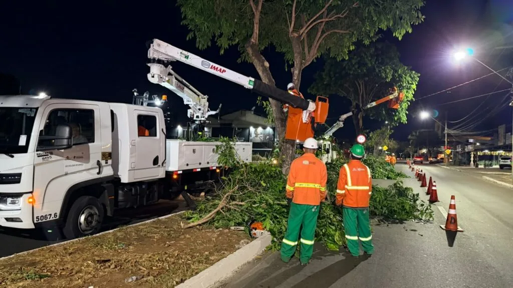 Prefeitura de Goiânia amplia poda de jamelões em avenidas no