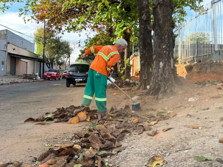 Prefeitura de Goiânia amplia varrição e retirada de folhas para