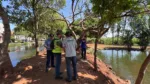 Prefeitura de Goiânia analisa água e peixes do lago do Parque Licardino Ney