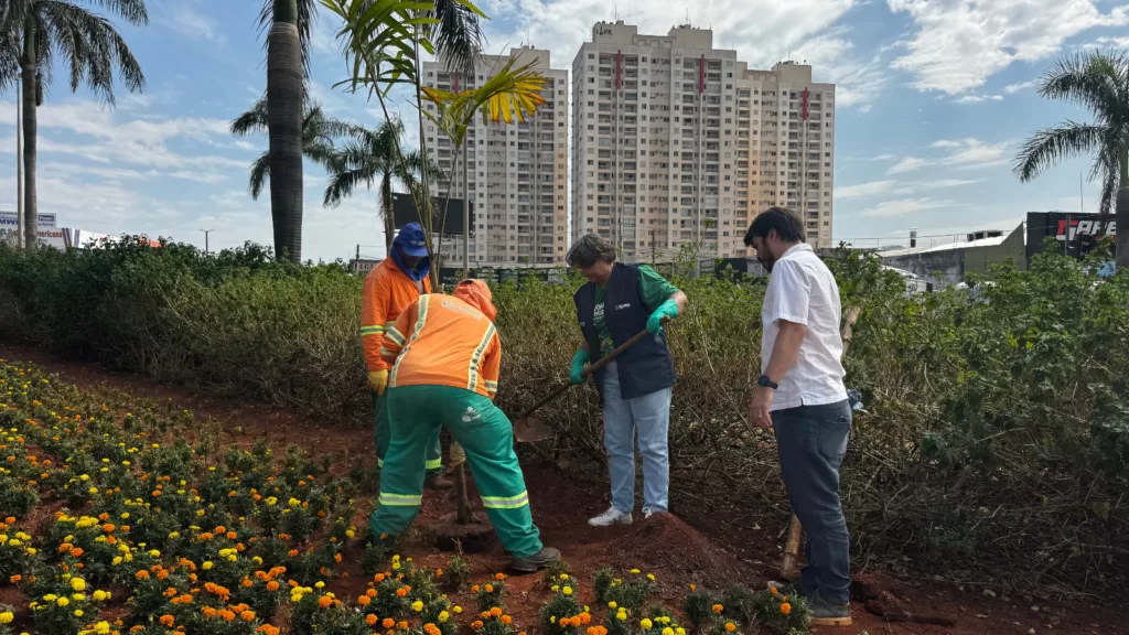 Prefeitura de Goiânia começa a plantar 40 mil mudas em