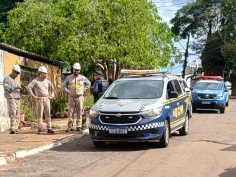 Prefeitura de Goiânia embarga três estabelecimentos de reciclagem após operação
