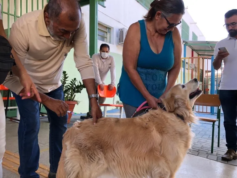 Prefeitura de Goiânia oferece vacina contra raiva para cães e