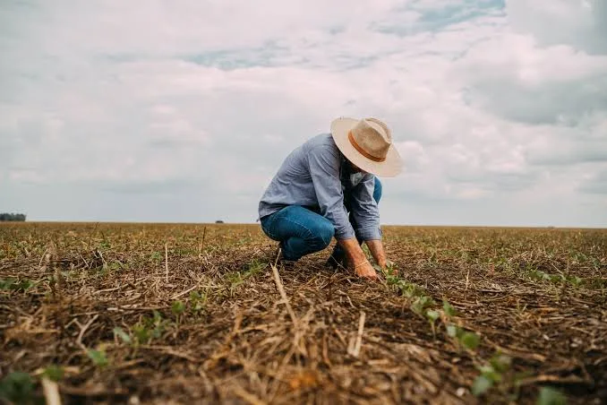 PL prevê justiça gratuita para produtores rurais em renegociação de dívidas e crédito rural