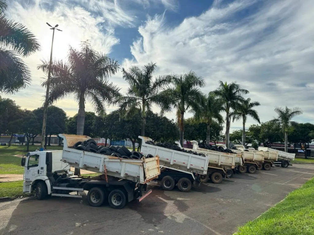 Administração municipal de Goiânia promove quatro mutirões gratuitos para recolher
