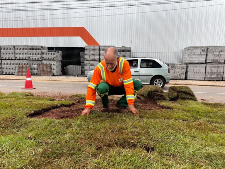 Companhia de Urbanização de Goiânia planta 104,9 mil m² de