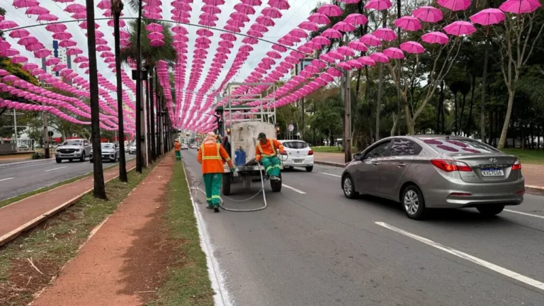Companhia de Urbanização de Goiânia realiza manutenção na Praça Tamandaré
