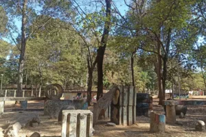 Justiça determina medidas urgentes de acessibilidade e segurança no Parque Botafogo, em Goiânia