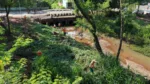 Equipes da Comurg reforçam limpeza de córregos para reduzir impactos das chuvas em Goiânia