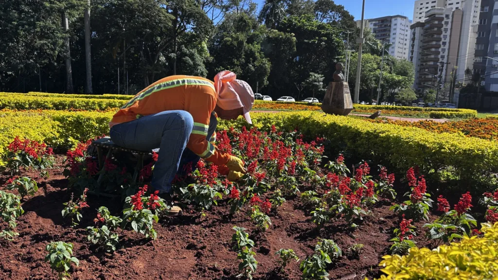 Equipes da Prefeitura de Goiânia retiram ervas daninhas em 42