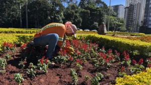 Equipes da Prefeitura de Goiânia retiram ervas daninhas em 42