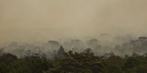 Força Nacional do SUS apoia atendimentos no Amazonas após incêndios