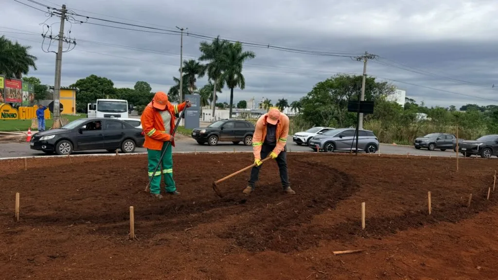 Paisagismo da rotatória próxima ao Hugol inclui árvores e flores