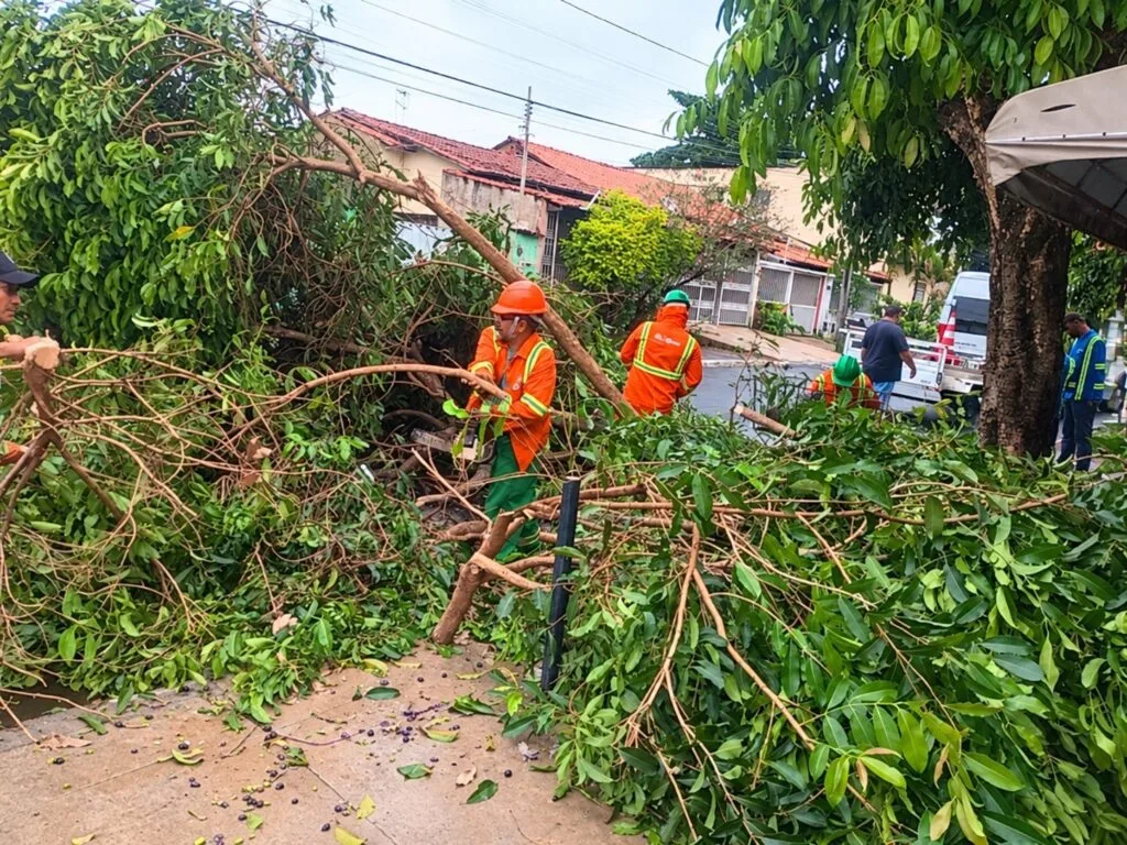 Prefeitura de Goiânia mobiliza equipes para limpar vias e monitorar