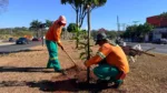 Prefeitura de Goiânia planta 1.131 árvores durante 27 dias e projeta outras 551 para novembro