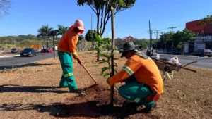 Prefeitura de Goiânia planta 1.131 árvores durante 27 dias e