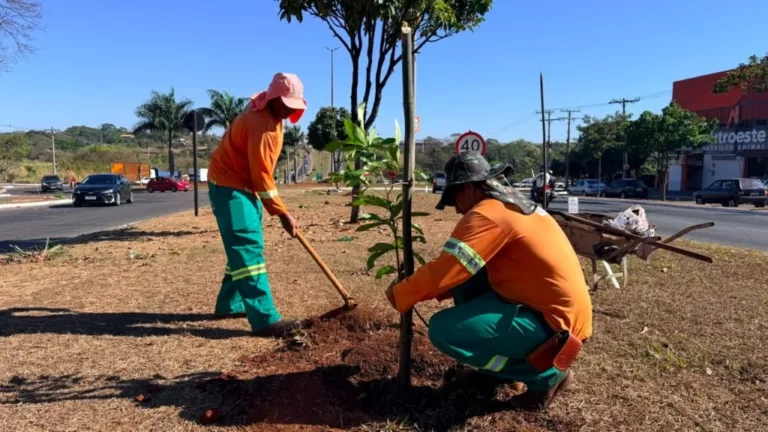 Prefeitura de Goiânia planta 1.131 árvores durante 27 dias e